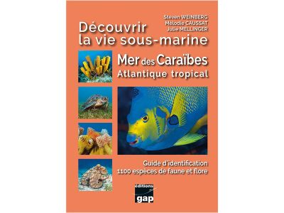 D�couvrir la vie sous-marine Mer de Cara�bes, Atlantique tropical