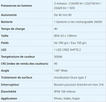Lampe DIVE PRO D 40 F