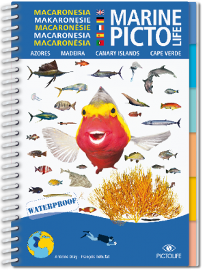 Marine Pictolife Macaron�sie