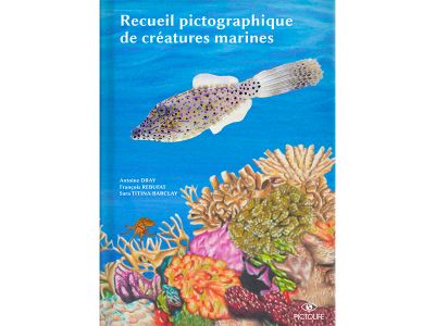 Marine Pictolife Macaron�sie