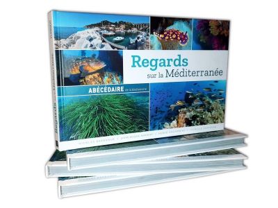 REGARDS SUR LA M�DITERRAN�E ABECEDAIRE DE LA BIODIVERSITE